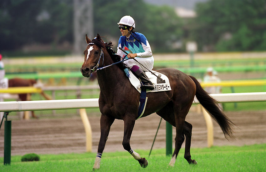 記念馬券】アドマイヤベガ 新馬戦 エリカ賞 ラジオたんぱ杯3歳S 弥生賞