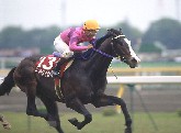 1992年NHK杯
